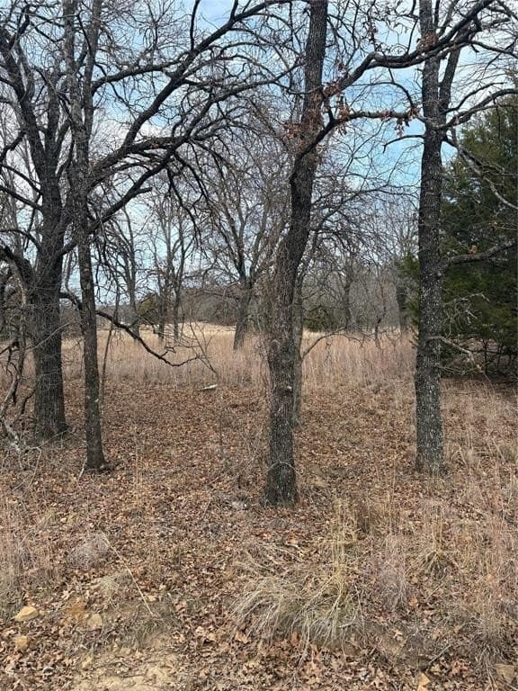 2.01 acres in Montague County - photo 4