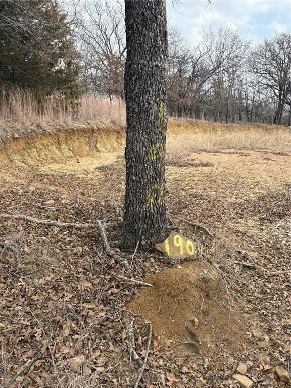 2.01 acres in Montague County - photo 7