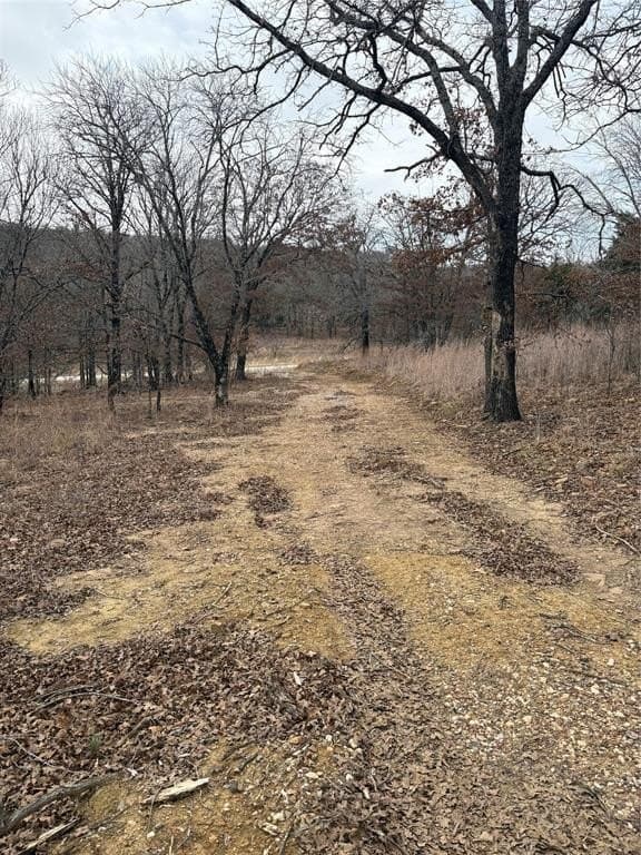 2.01 acres in Montague County - photo 3