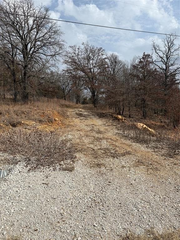 2.01 acres in Montague County - photo 2