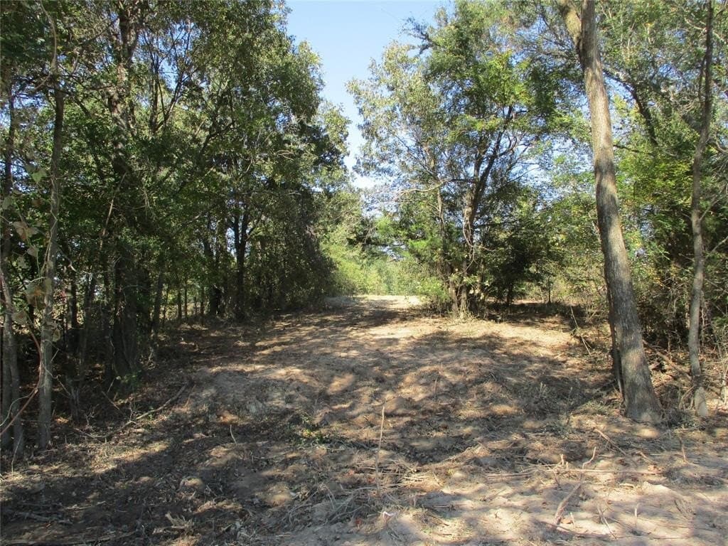 10.8 acres in Rains County - photo 4
