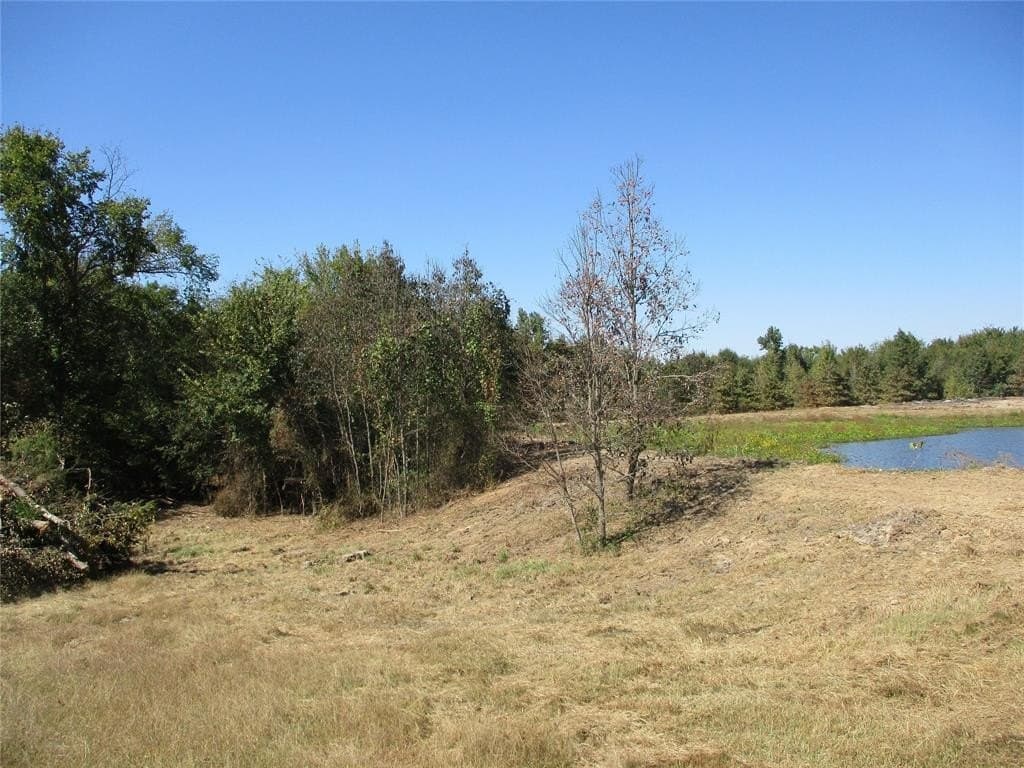 10.8 acres in Rains County - photo 2