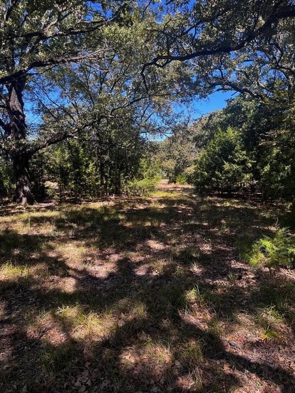 5.85 acres in Hunt County - photo 11