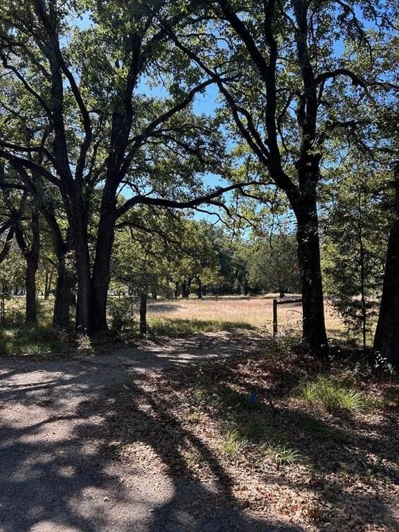5.85 acres in Hunt County - photo 8