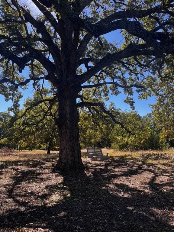 5.85 acres in Hunt County - photo 12