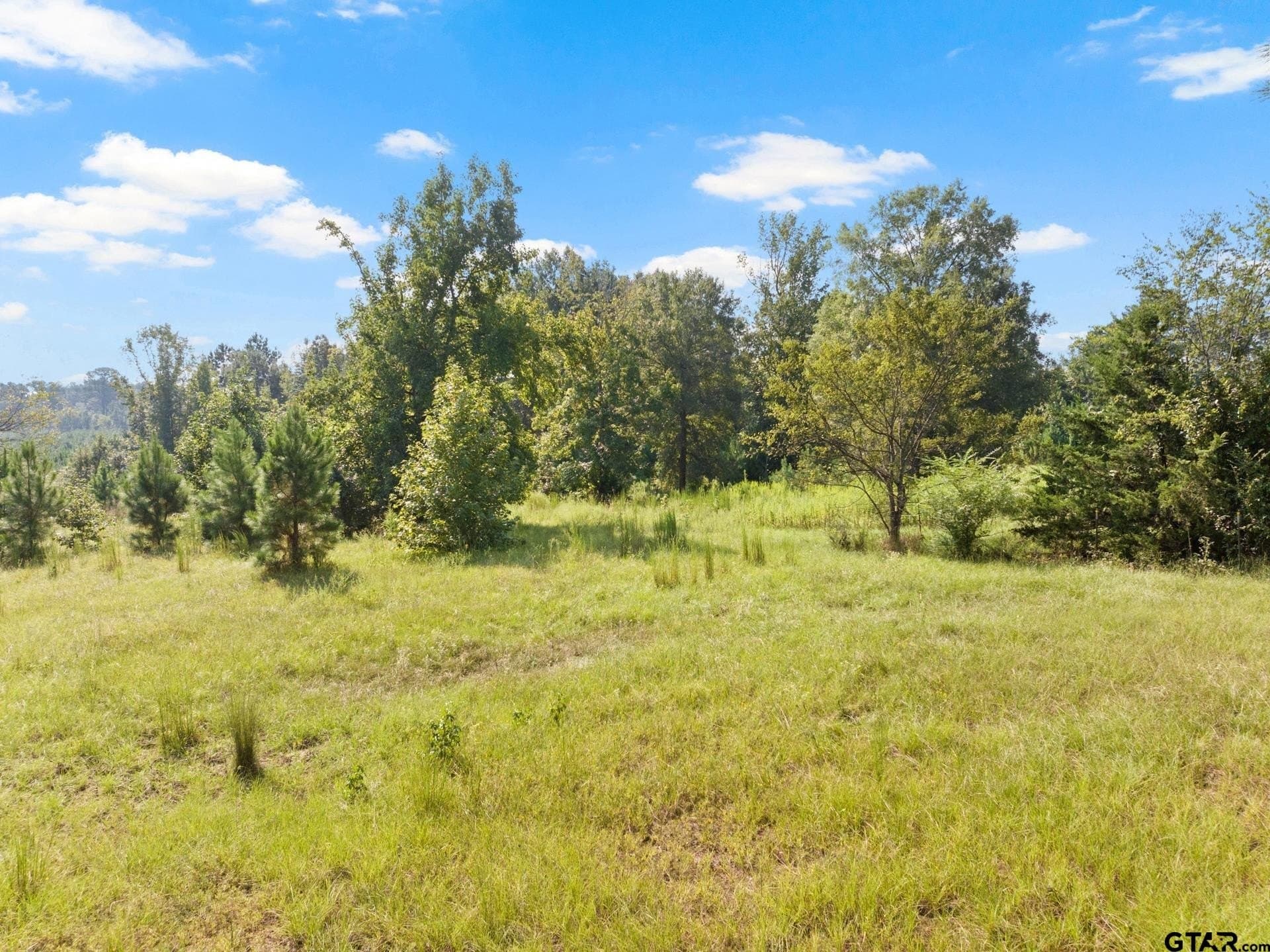 15 acres in Morris County - photo 9