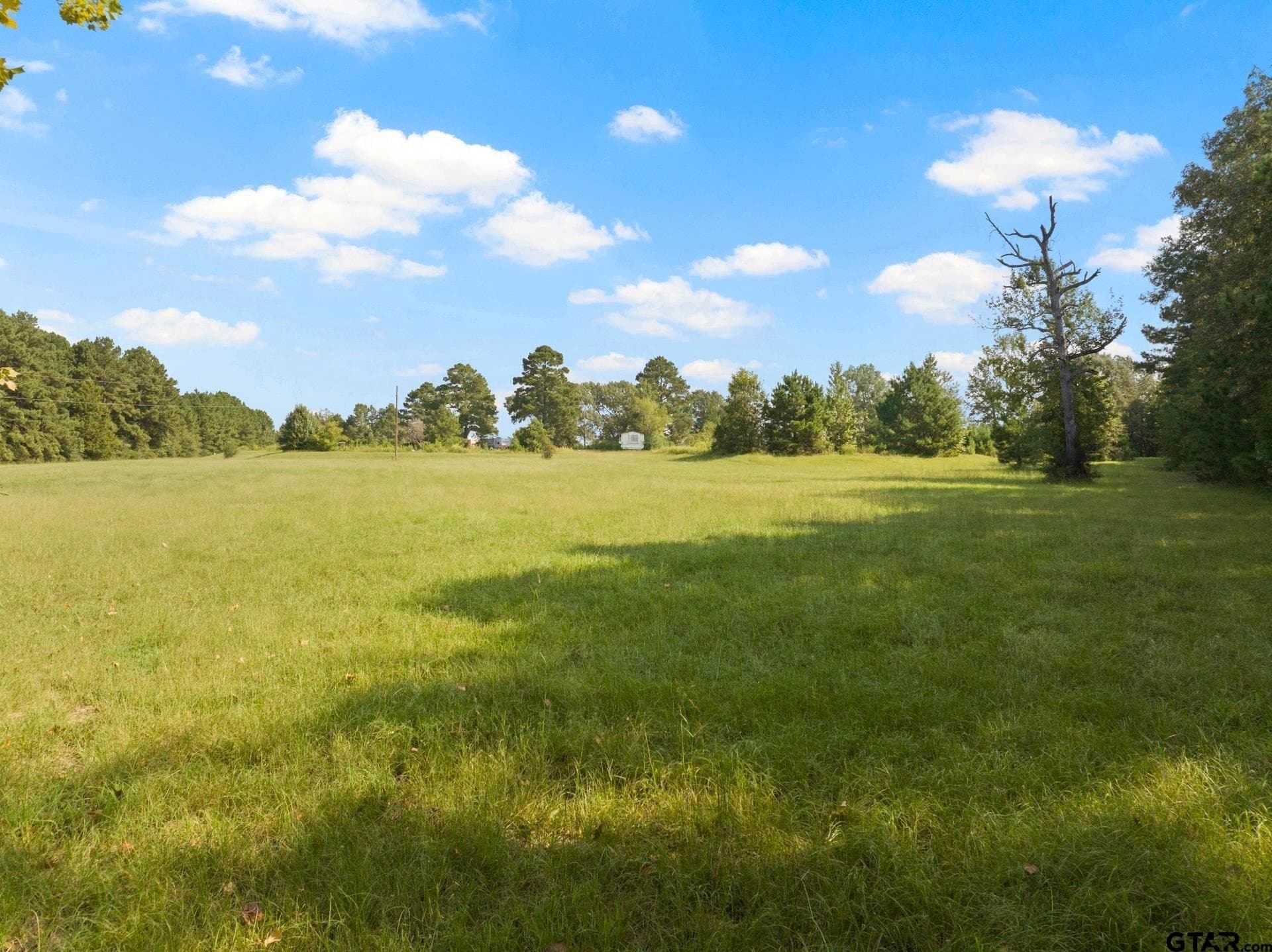 15 acres in Morris County - photo 29