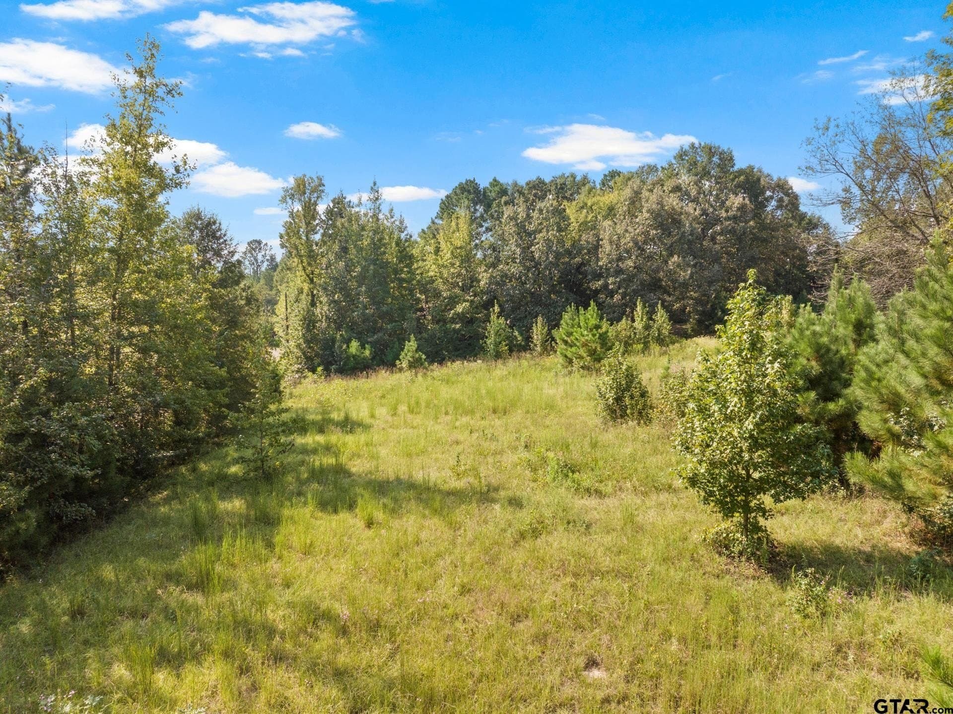 15 acres in Morris County - photo 13