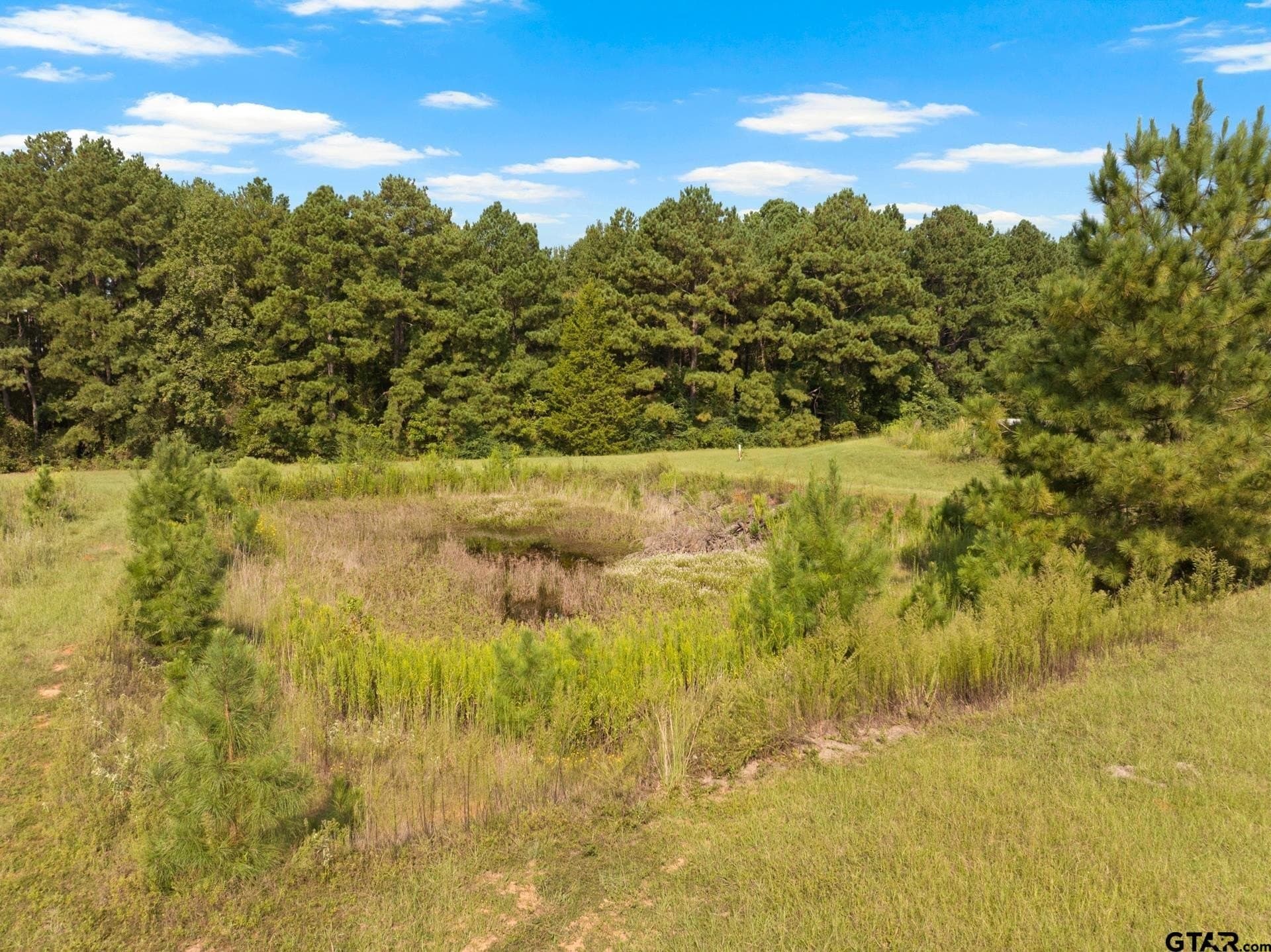 15 acres in Morris County - photo 24