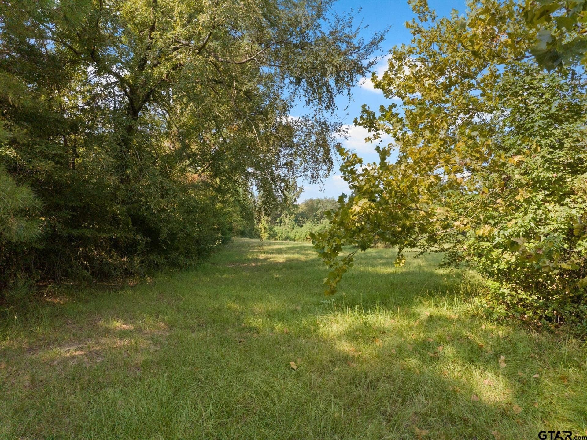 15 acres in Morris County - photo 30