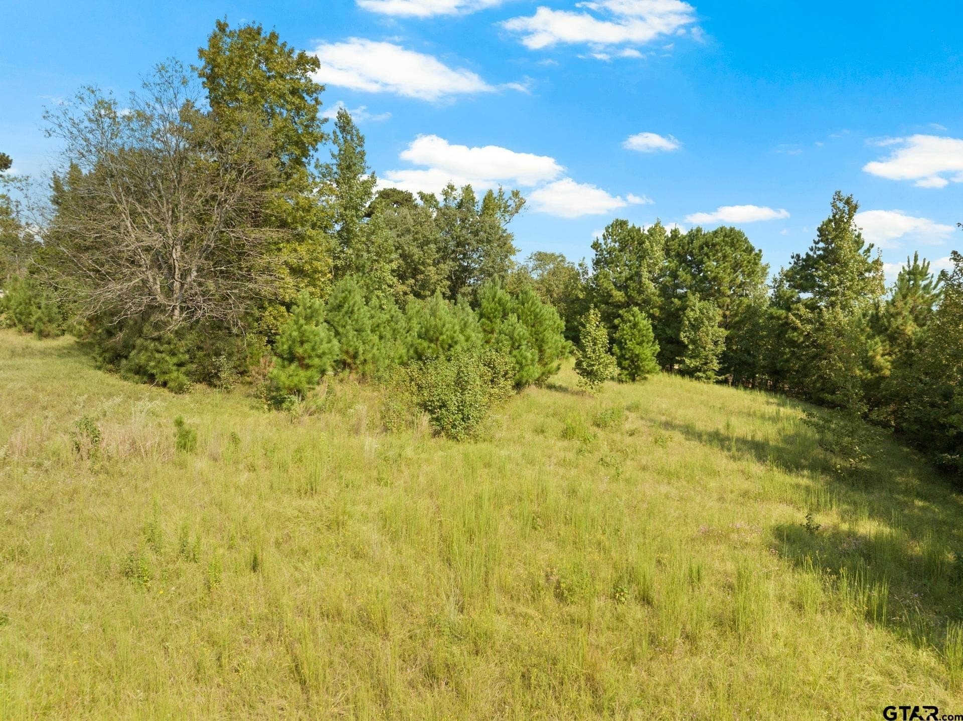 15 acres in Morris County - photo 12