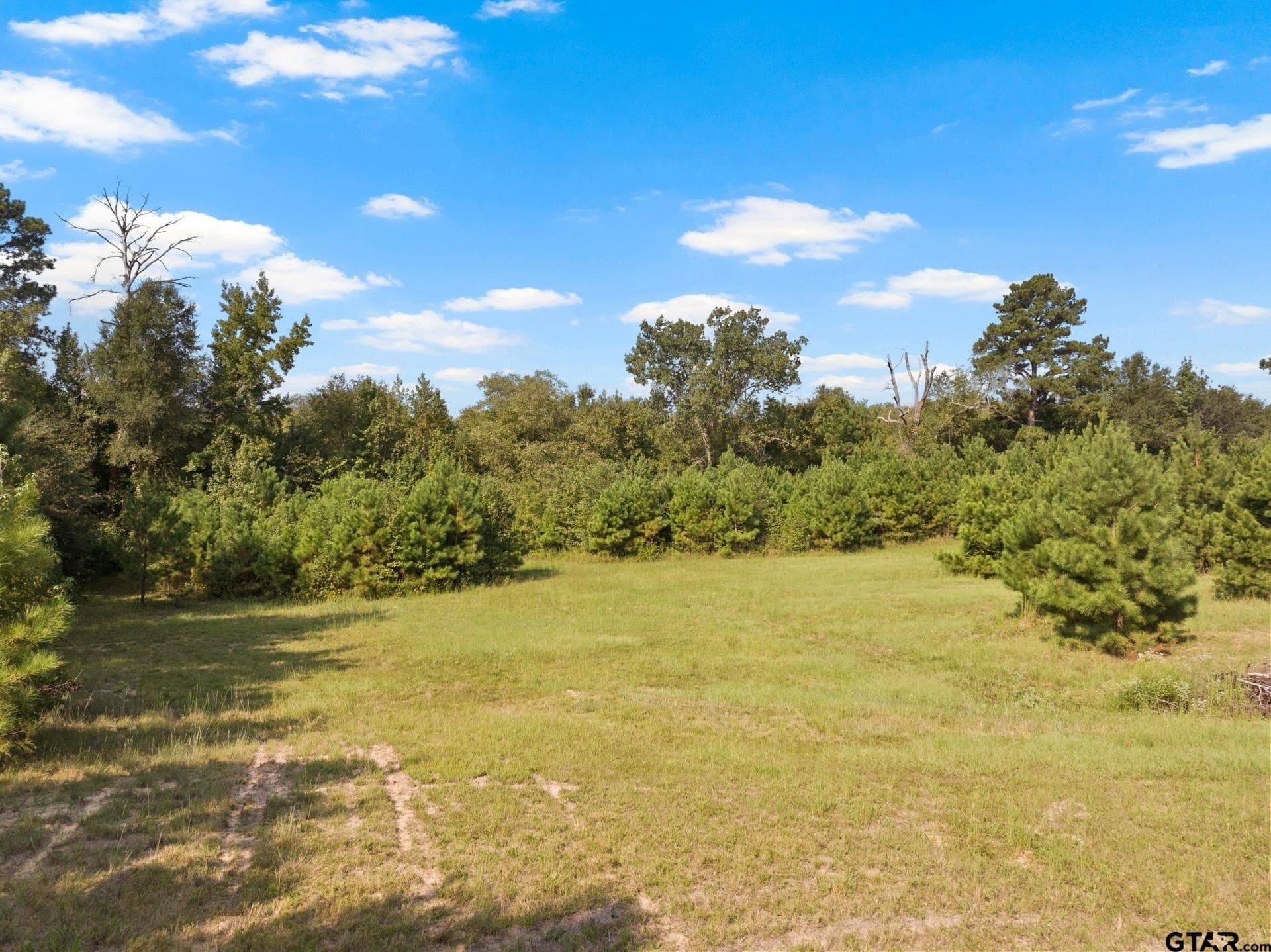 15 acres in Morris County - photo 33