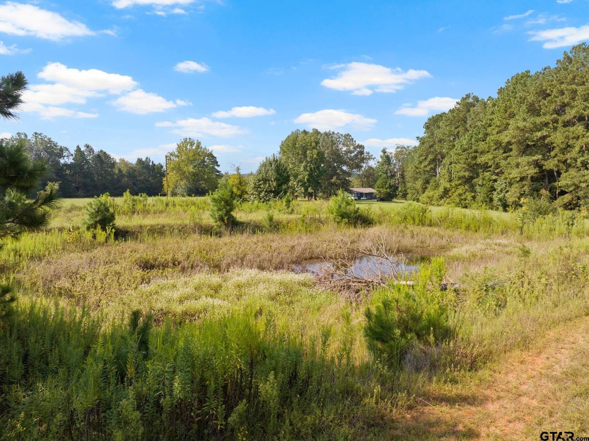 15 acres in Morris County - photo 23