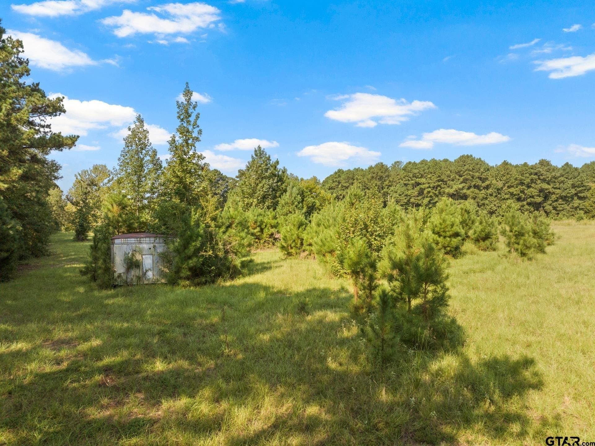 15 acres in Morris County - photo 16