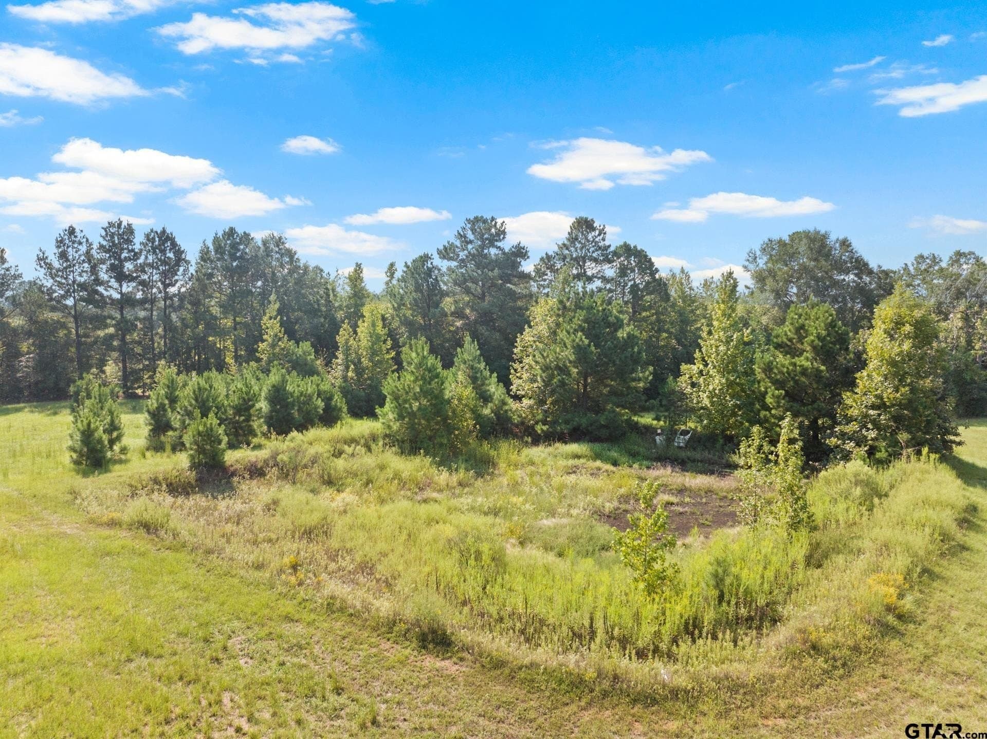 15 acres in Morris County - photo 17