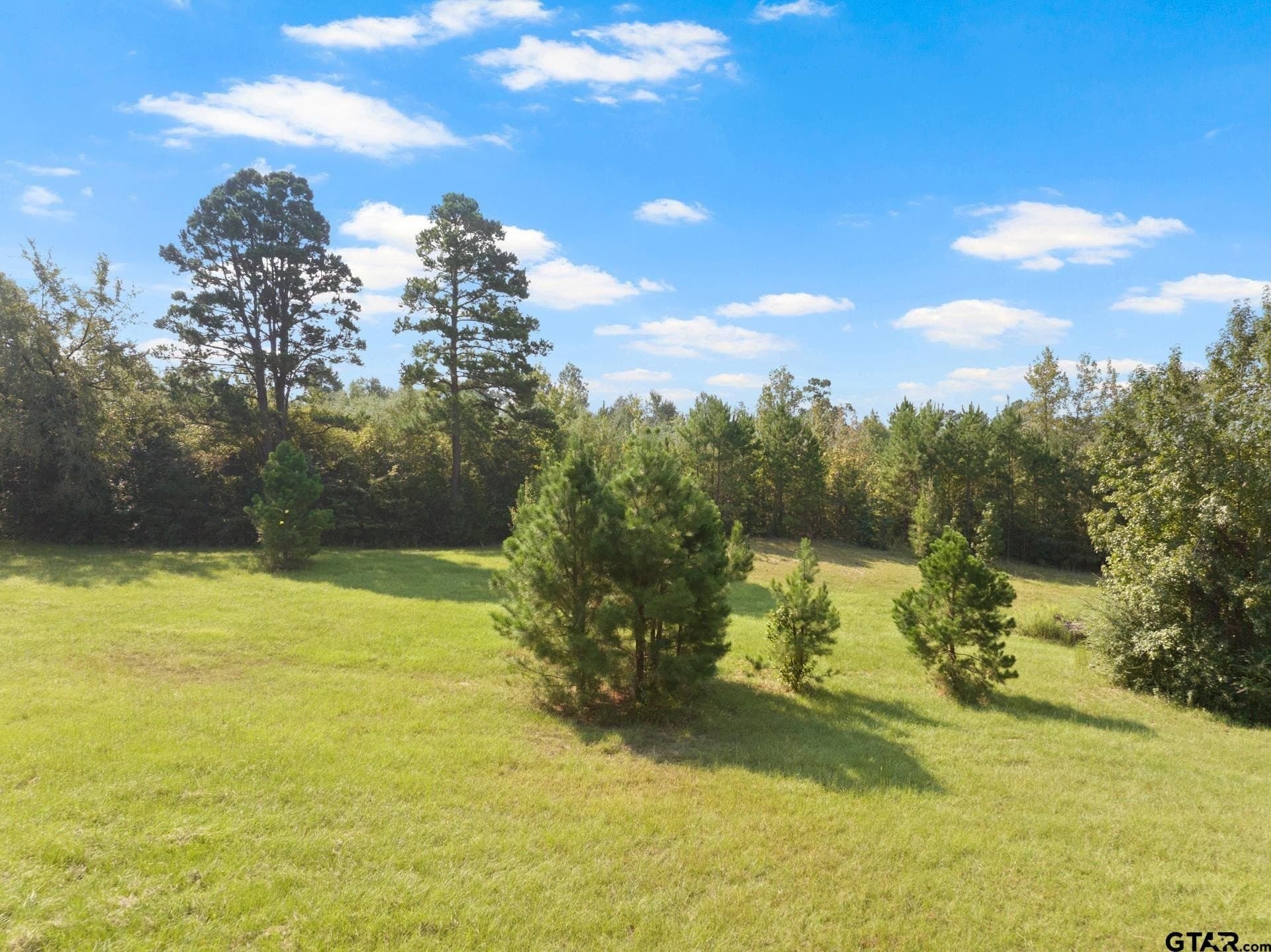 15 acres in Morris County - photo 40