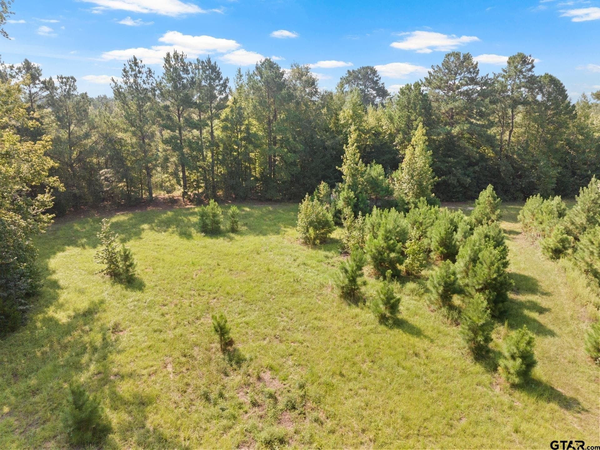 15 acres in Morris County - photo 15