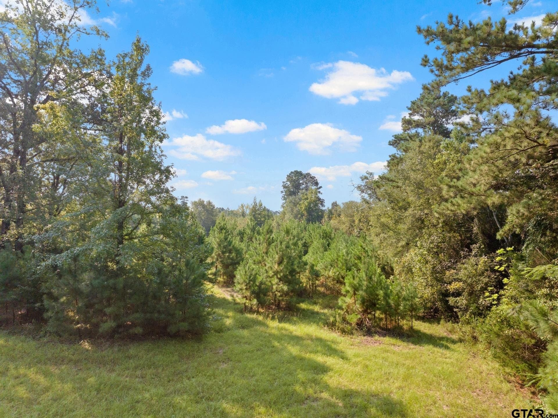 15 acres in Morris County - photo 39