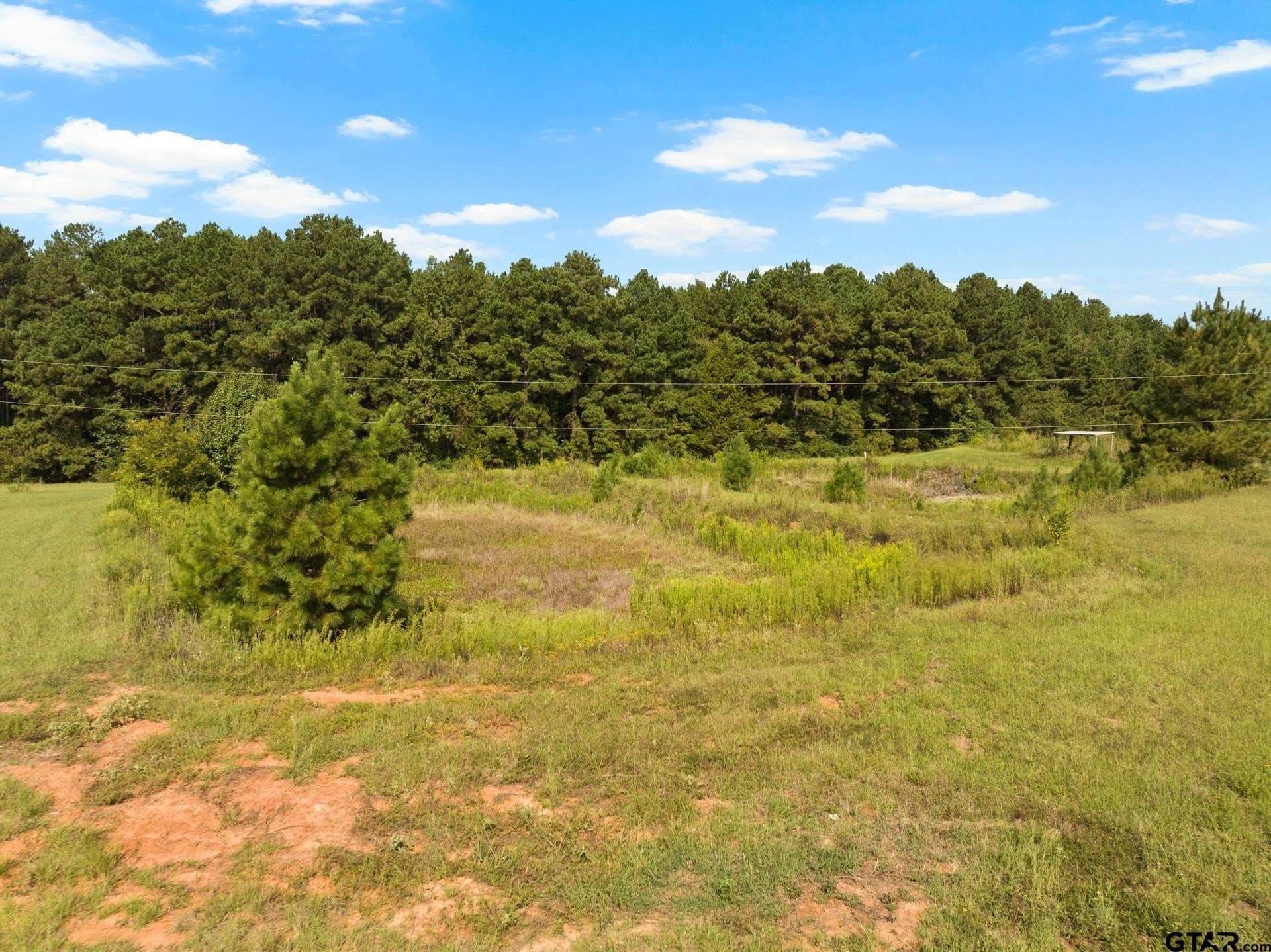 15 acres in Morris County - photo 25