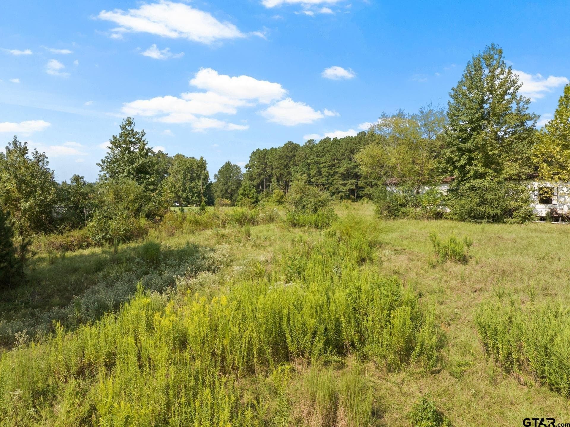 15 acres in Morris County - photo 10