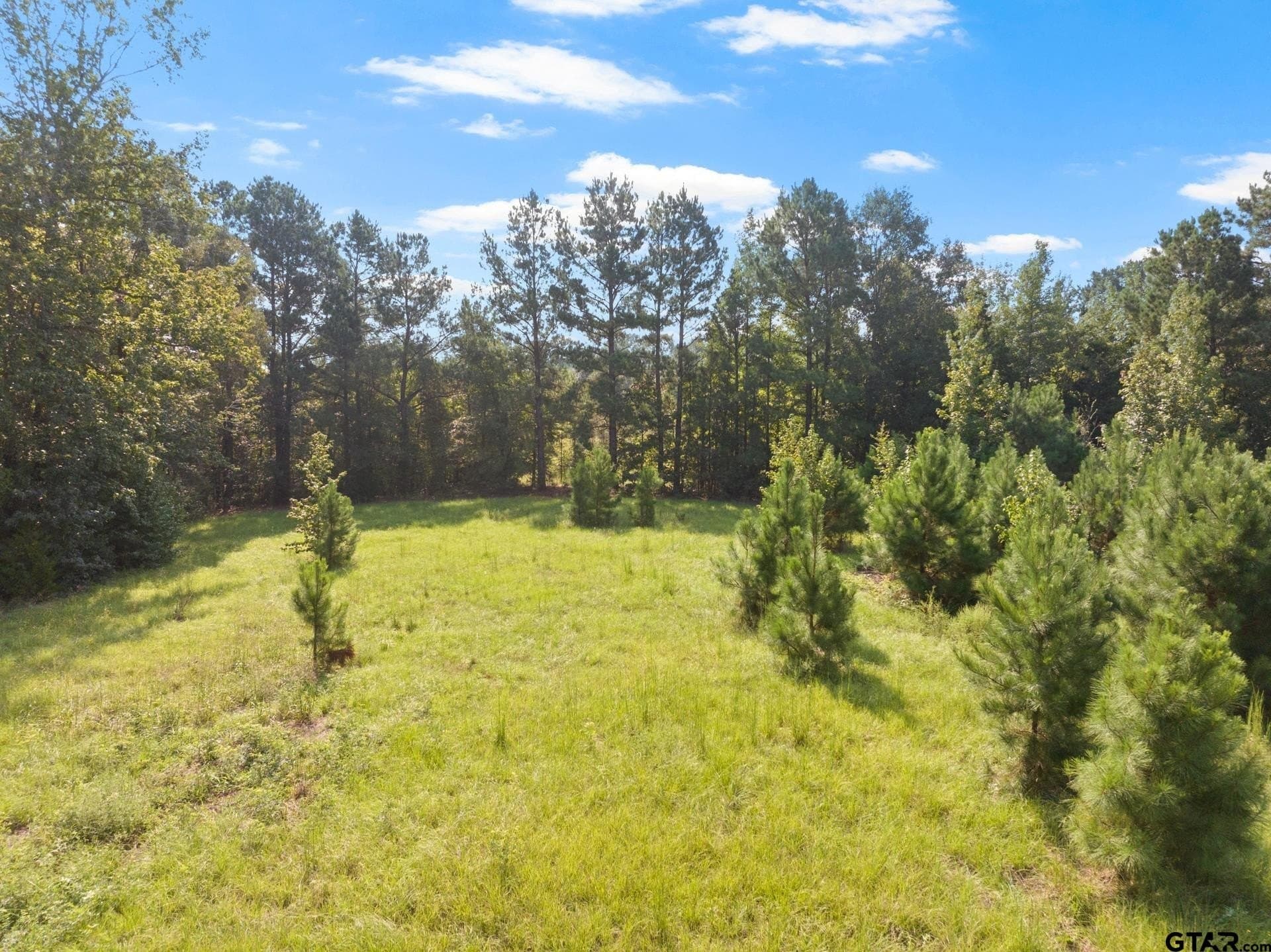 15 acres in Morris County - photo 26