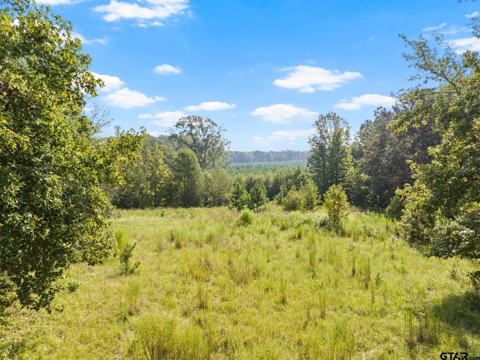 15 acres in Morris County - photo 11