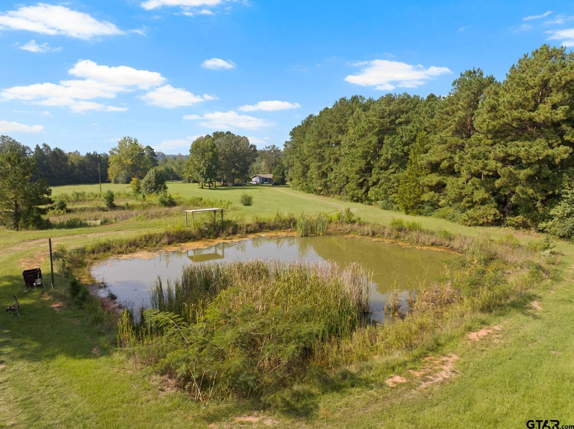 15 acres in Morris County - photo 18