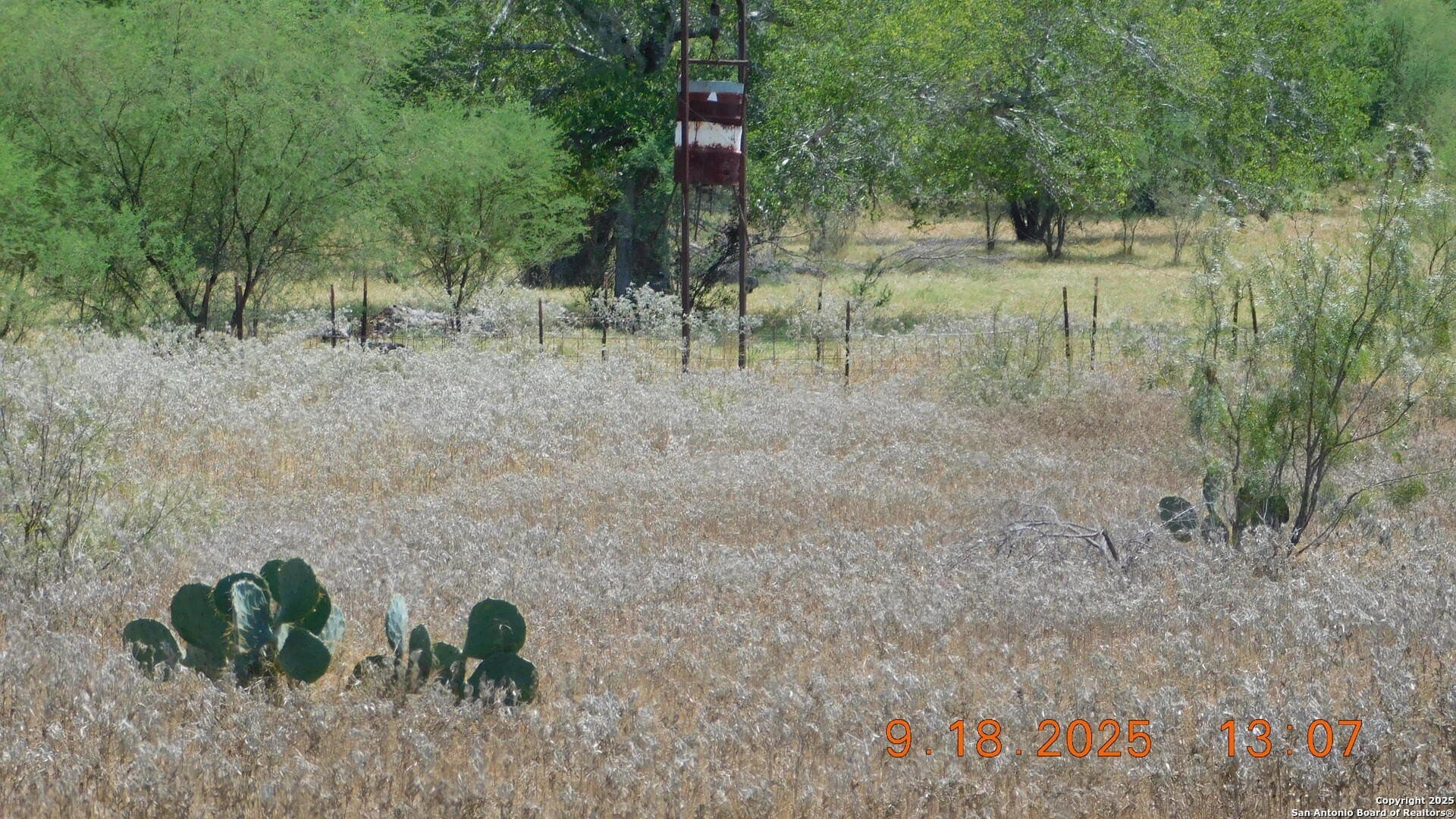 0 acres in Atascosa County - photo 10
