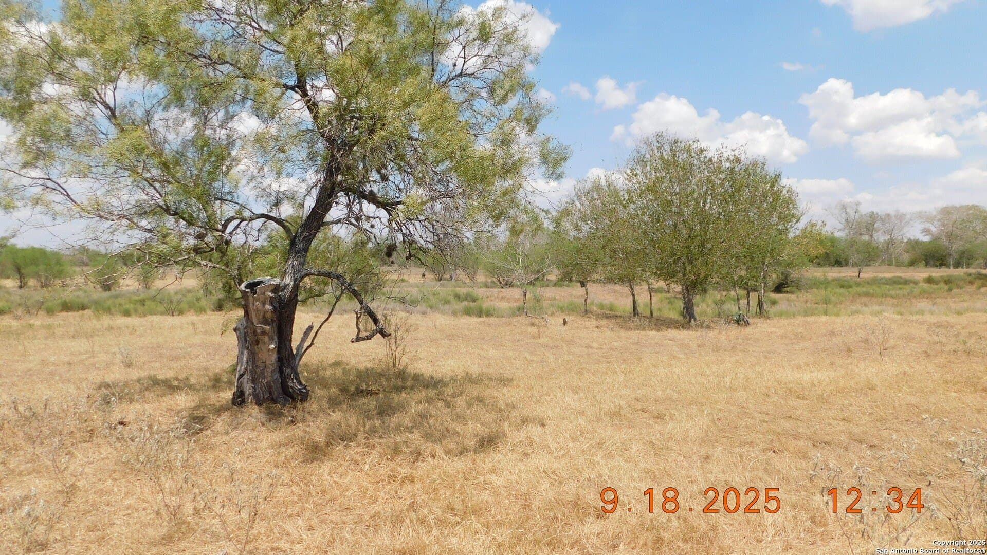 0 acres in Atascosa County - photo 25