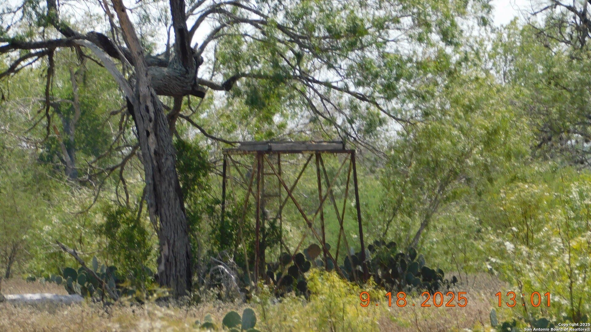 0 acres in Atascosa County - photo 14