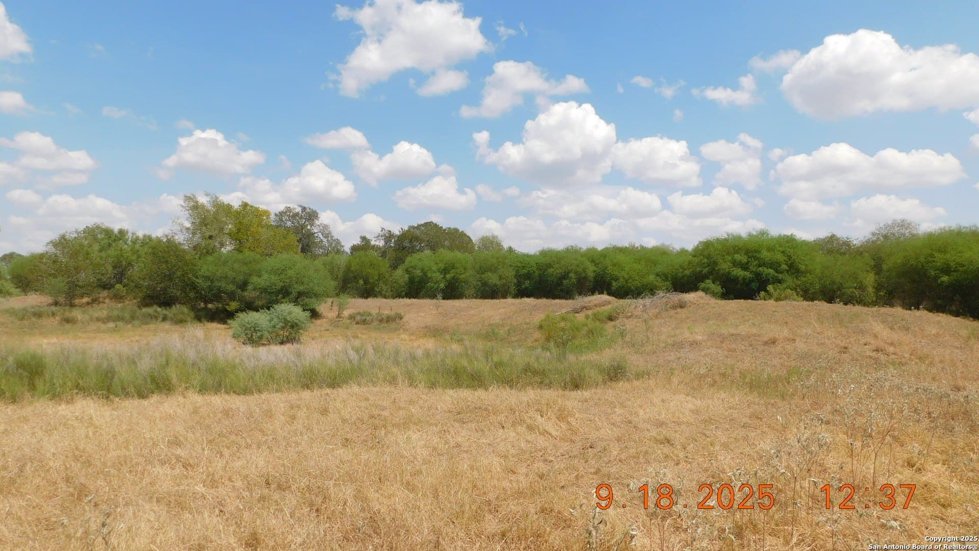 0 acres in Atascosa County - photo 22