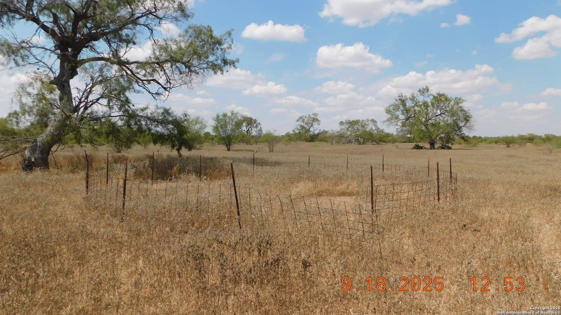 0 acres in Atascosa County - photo 16