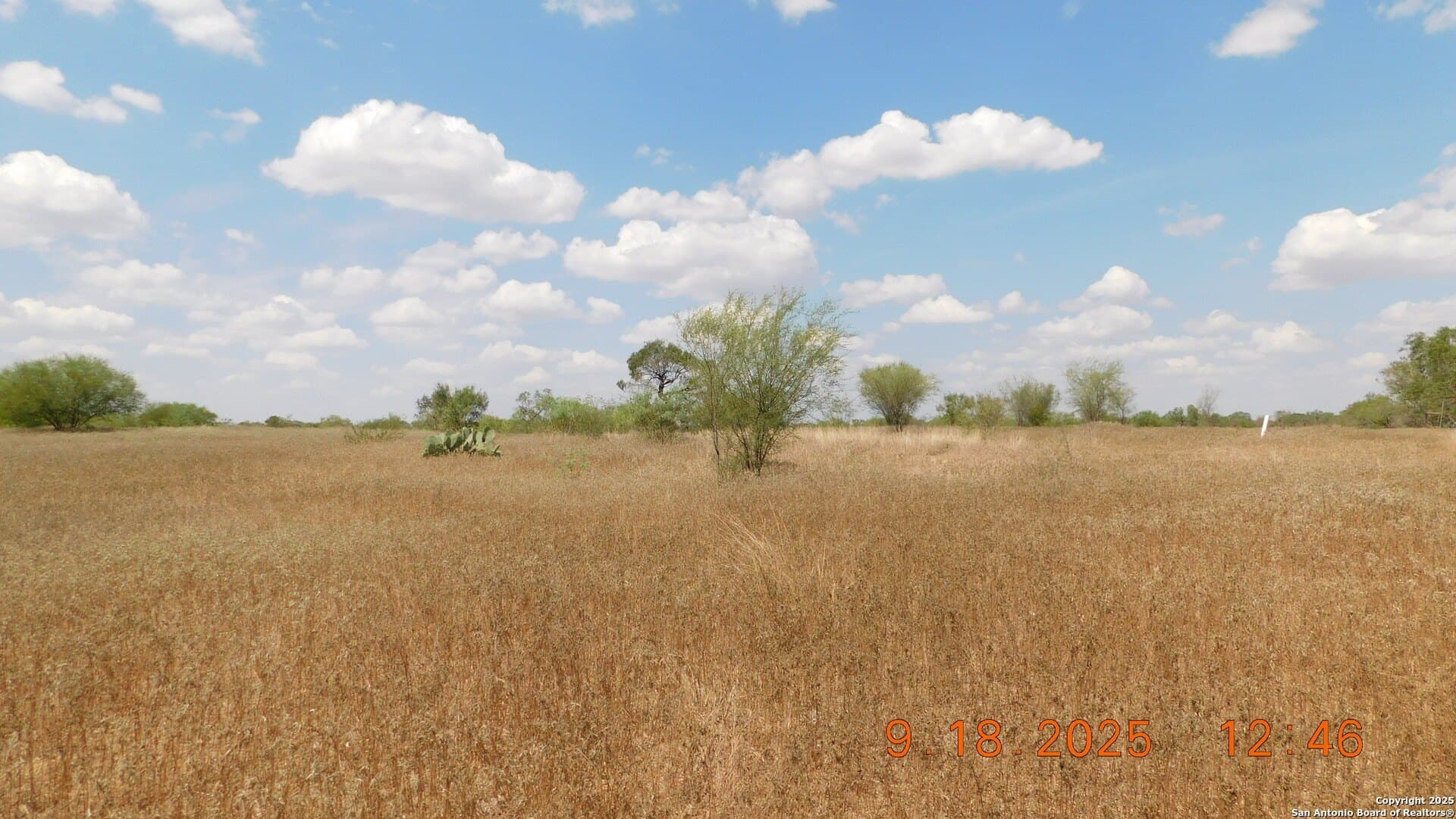 0 acres in Atascosa County - photo 17