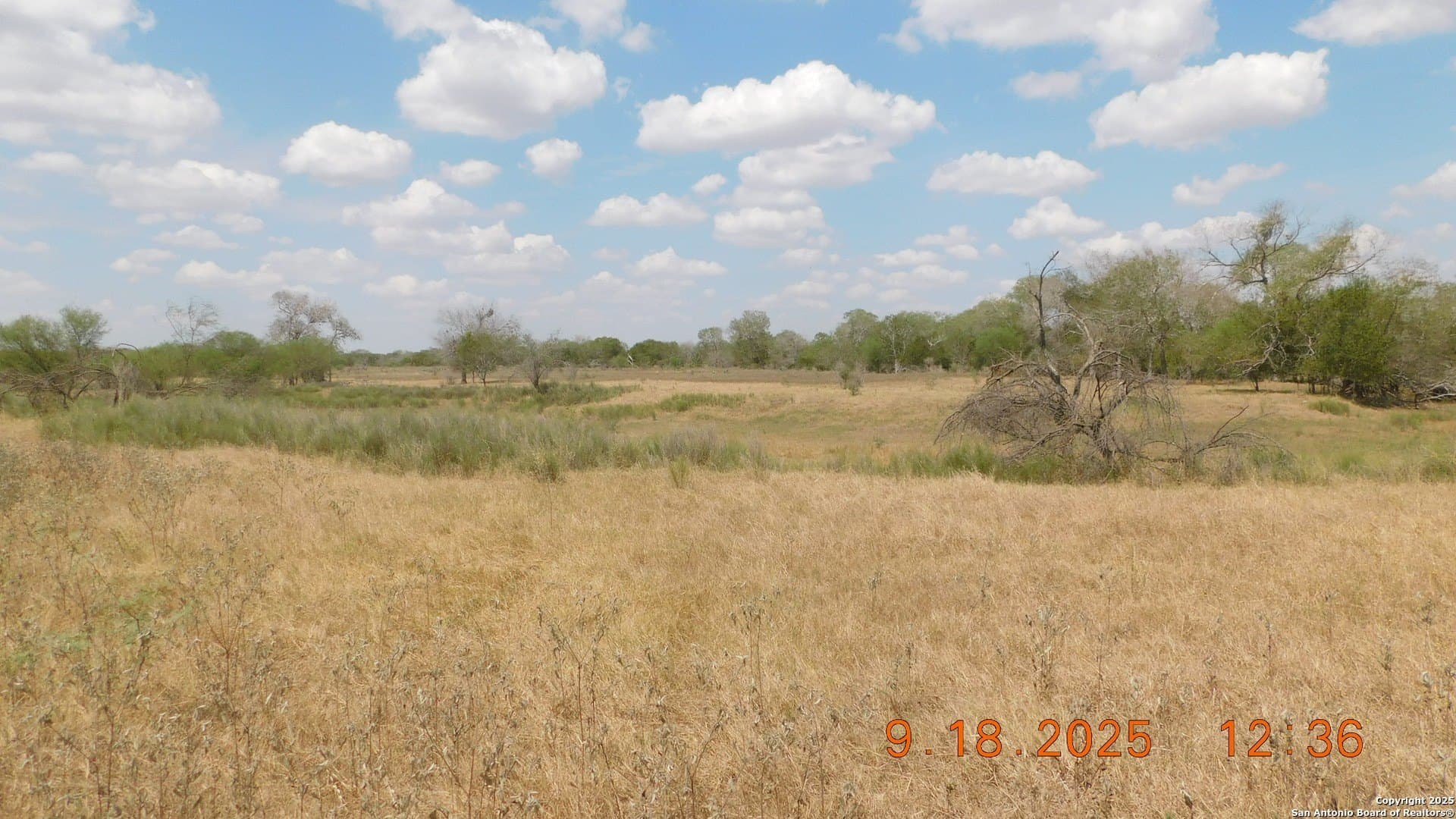 0 acres in Atascosa County - photo 23