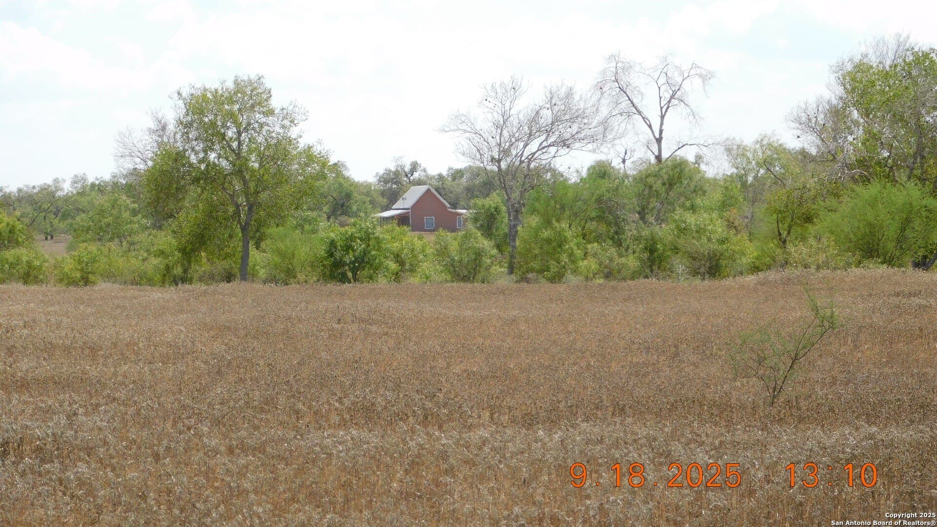 0 acres in Atascosa County - photo 8