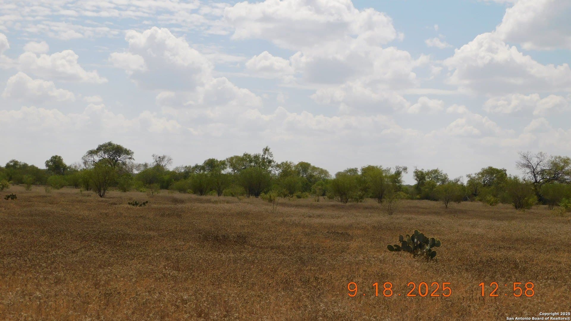0 acres in Atascosa County - photo 15