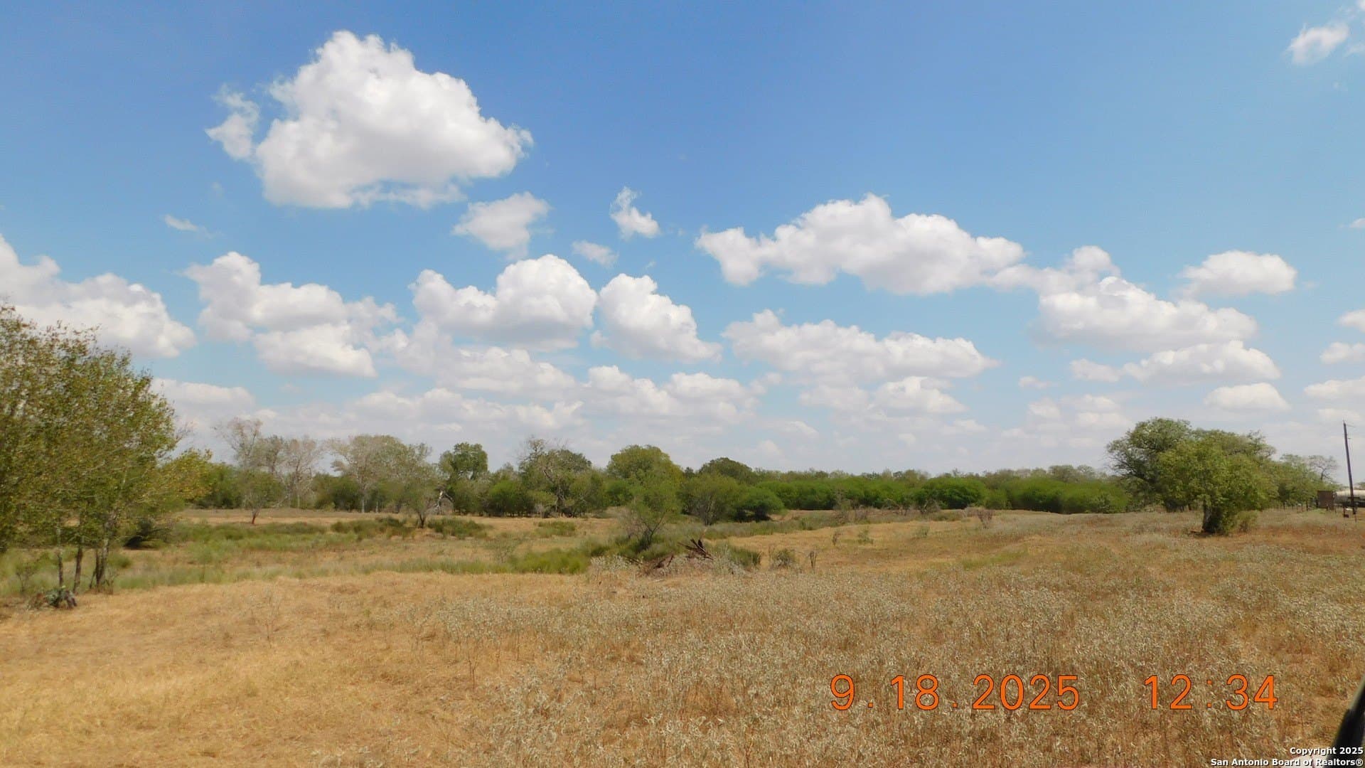 0 acres in Atascosa County - photo 24