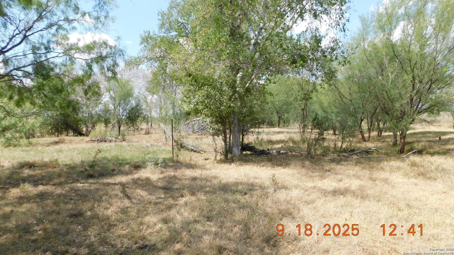 0 acres in Atascosa County - photo 20