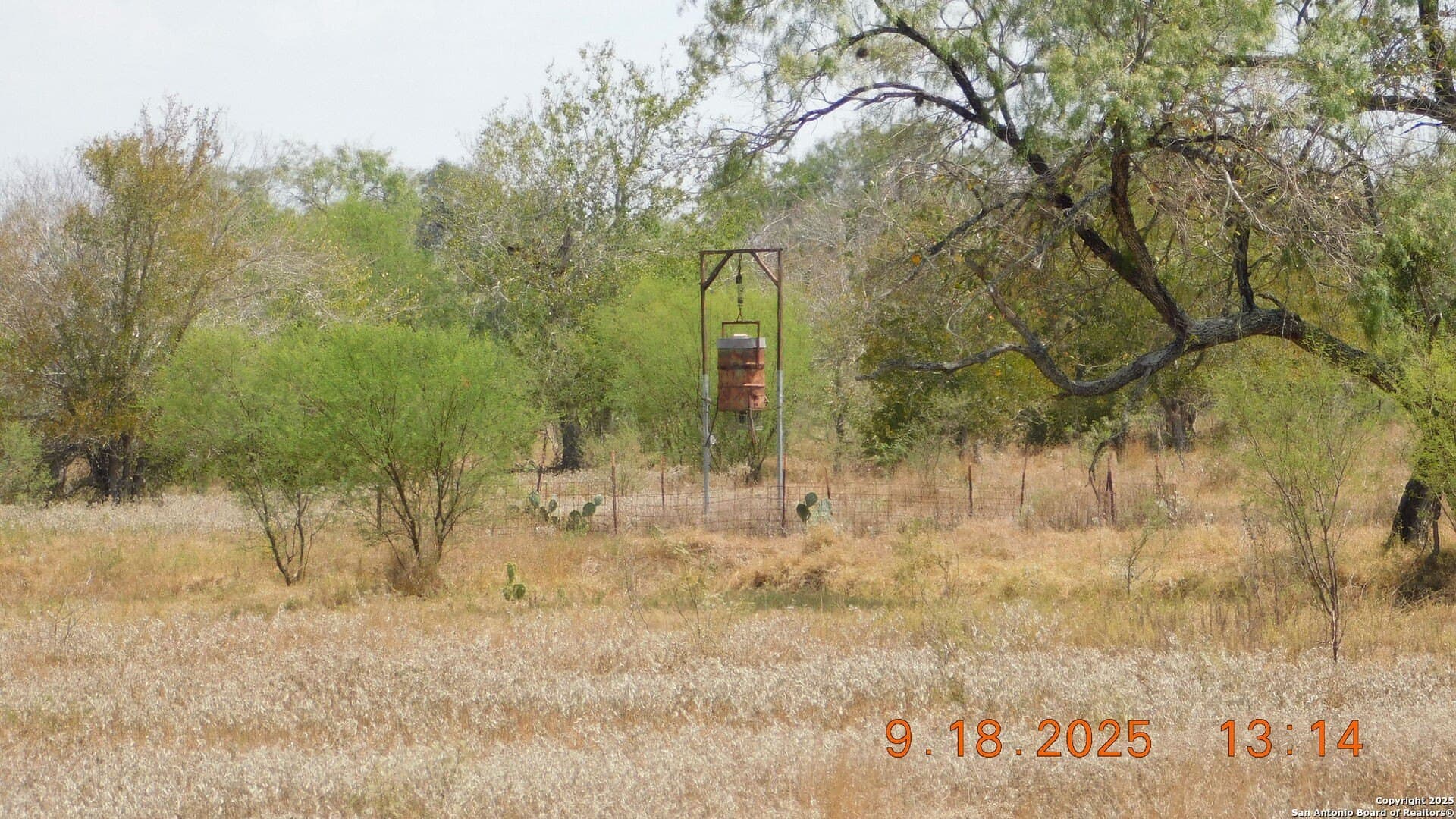 0 acres in Atascosa County - photo 6