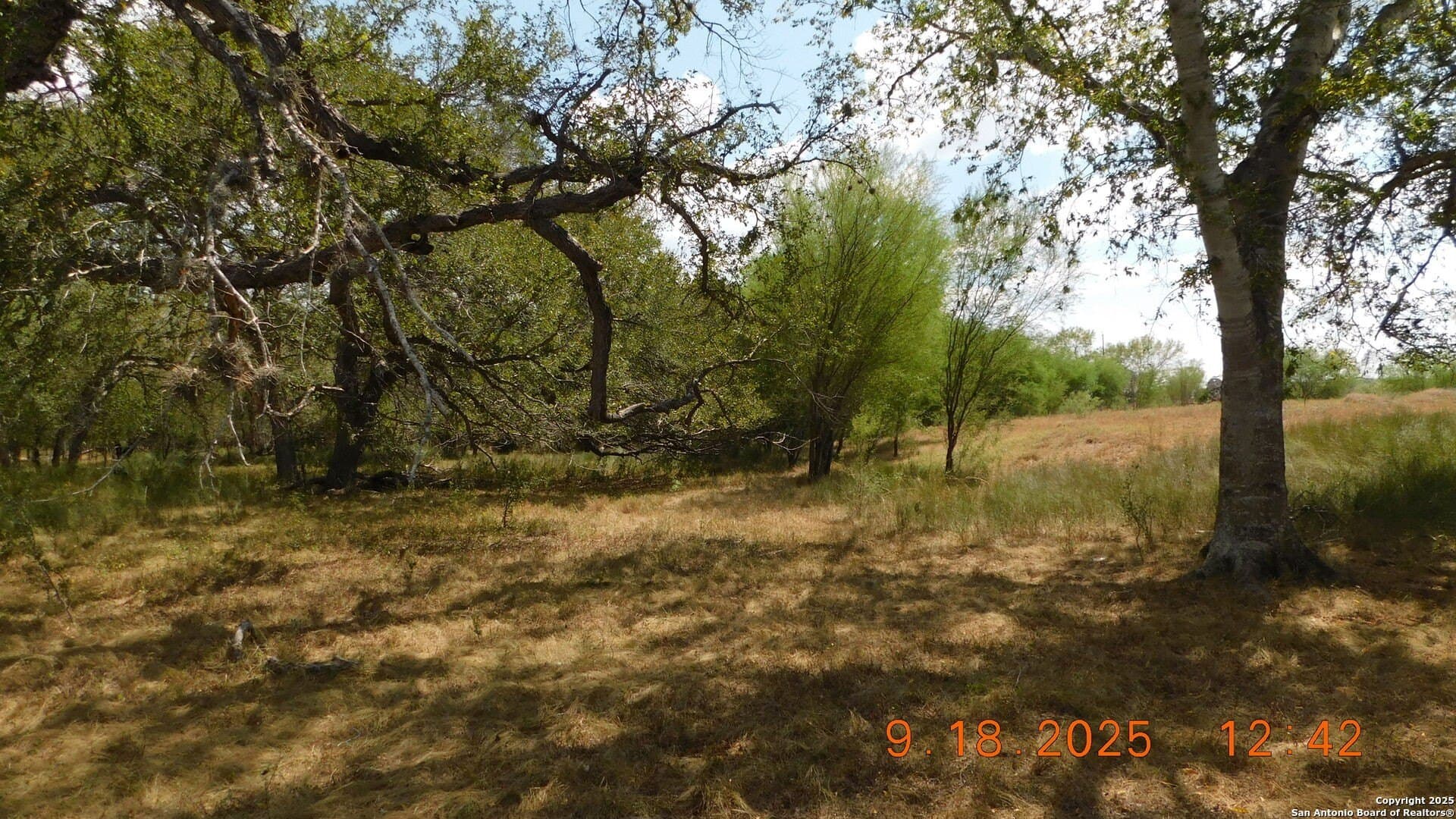 0 acres in Atascosa County - photo 19