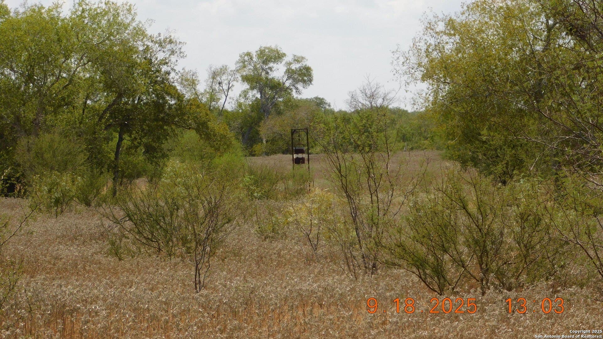 0 acres in Atascosa County - photo 13
