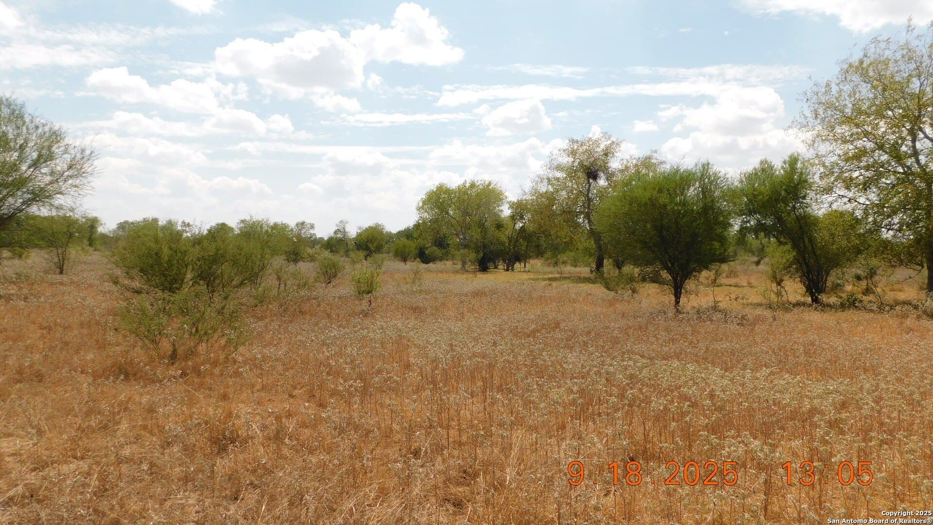 0 acres in Atascosa County - photo 11