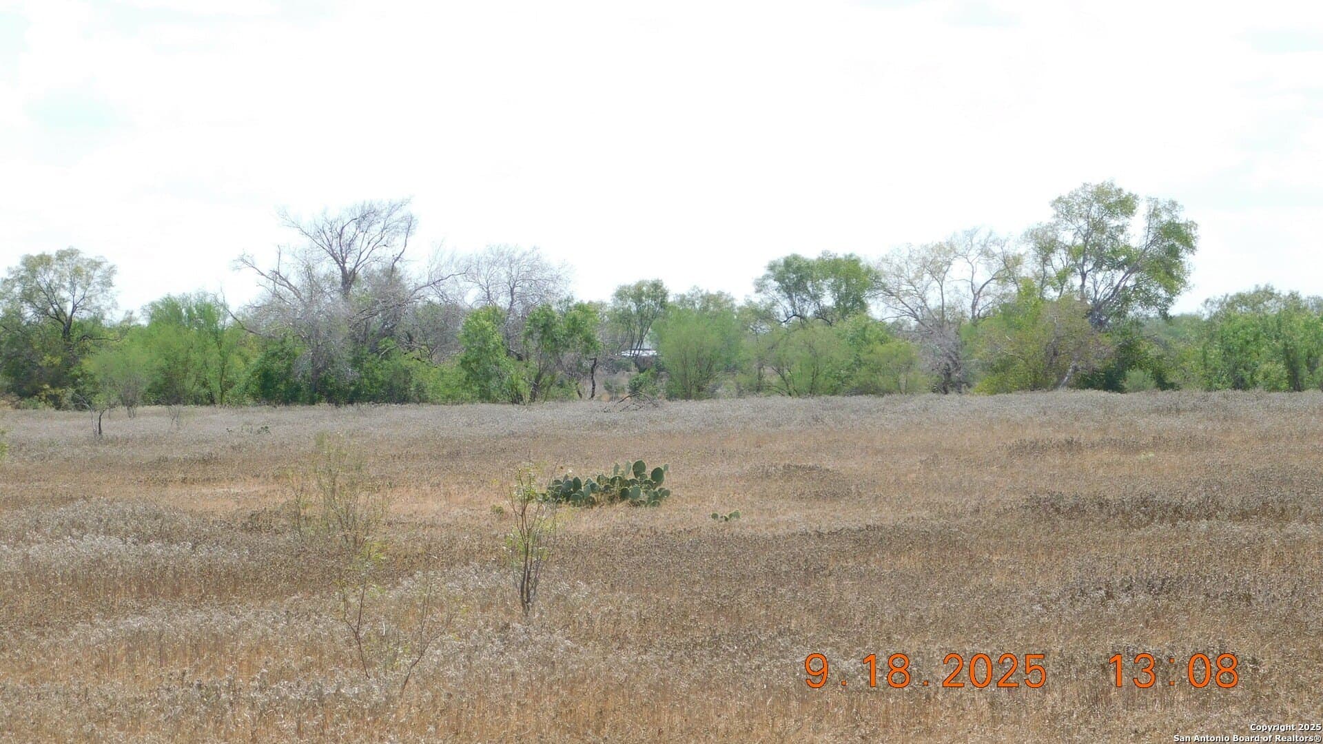 0 acres in Atascosa County - photo 9