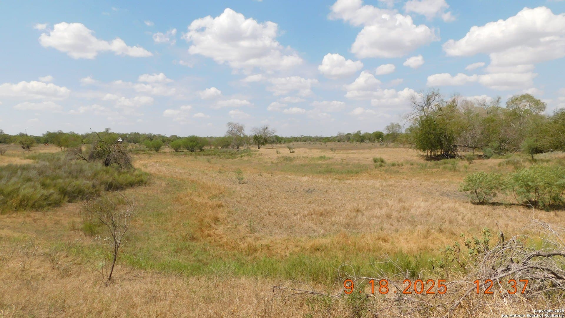 0 acres in Atascosa County - photo 21