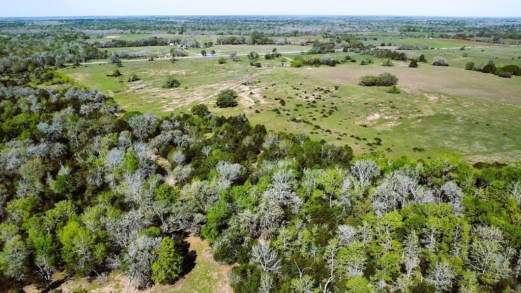 203 acres in Lavaca County - photo 4