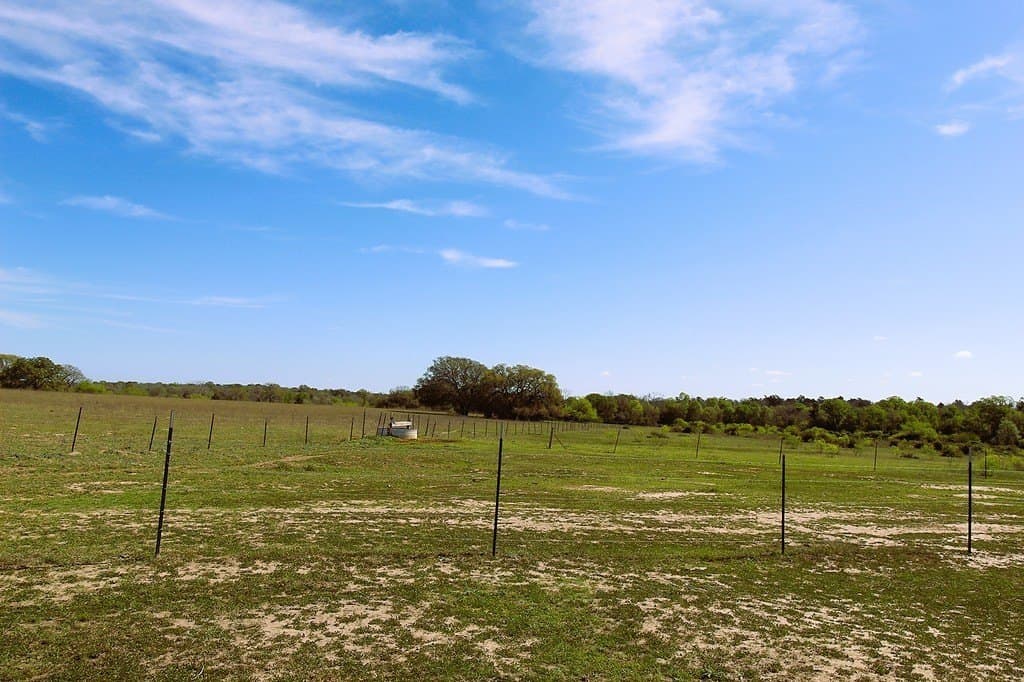 203 acres in Lavaca County - photo 22