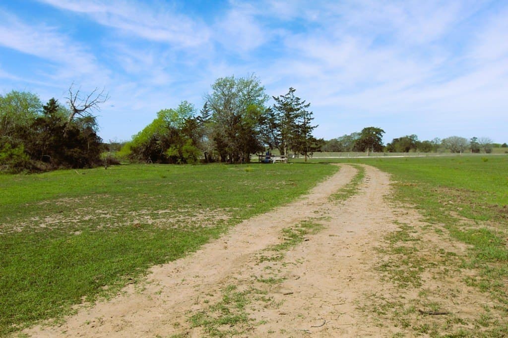 203 acres in Lavaca County - photo 12