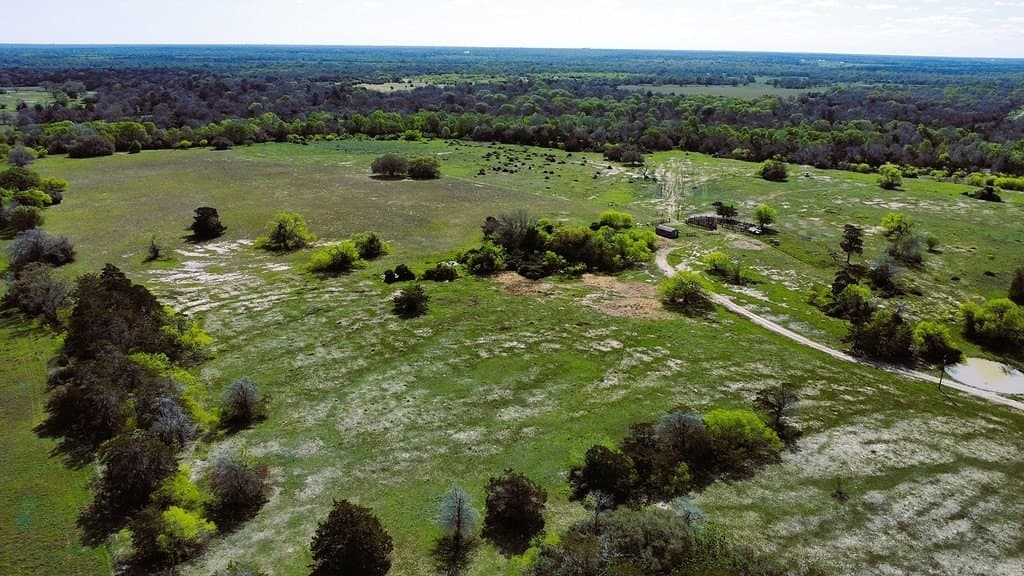 203 acres in Lavaca County - photo 5