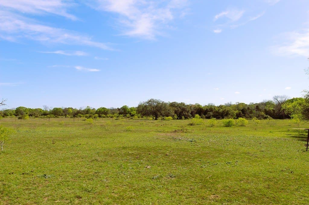 203 acres in Lavaca County - photo 24