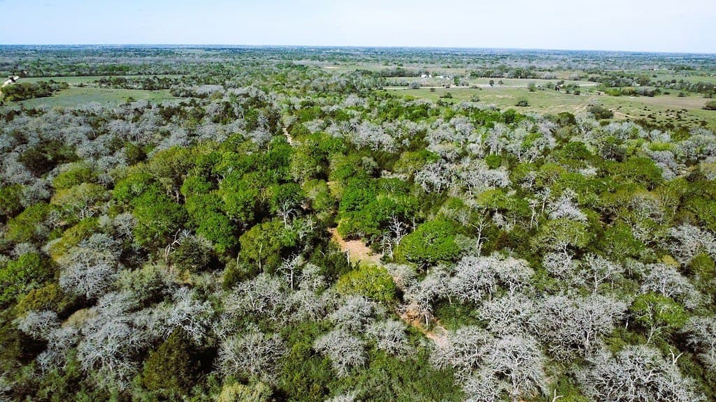 203 acres in Lavaca County - photo 27